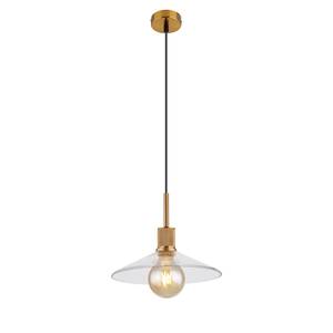 Hanglamp Adara III transparant glas/ijzer - 1 lichtbron