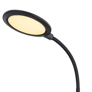 LED-tafellamp Regina polypropeen - 1 lichtbron