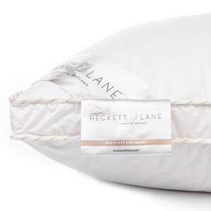 Oreiller Gold II Coton / Duvet d’oie - Blanc - 80 x 80 cm