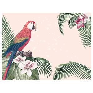 Tischset Colonial Parrot (4er-Set) Vinyl - Pink
