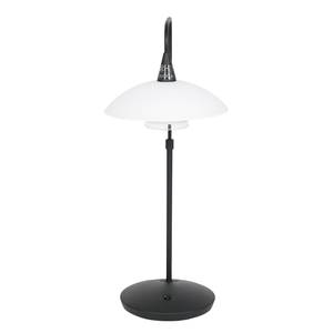 Lampe Tallerken II Verre dépoli / Fer - 1 ampoule