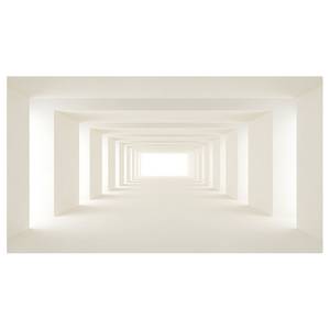 Vlies Fototapete Into the Light Vlies - Weiß / Beige - 500 x 280 cm
