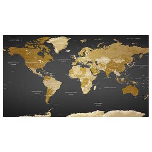 Fototapete World Map: Modern Geography Vlies - Mehrfarbig - 500 x 280 cm