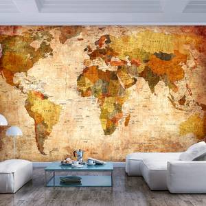 Papier peint en intissé Planisphère Intissé - Multicolore - 250 x 175 cm