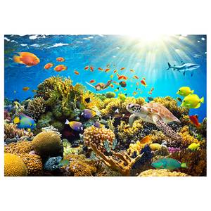 Vlies-fotobehang Underwater Land vlies - meerdere kleuren - 350 x 245 cm