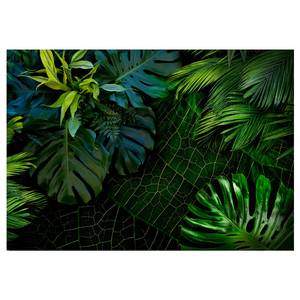 Vliesbehang Dark Jungle Groene Bladeren vlies - groen - 400 x 280 cm