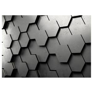 Vlies-fotobehang Black Gate vlies - zwart/wit - 250 x 175 cm