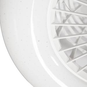 Plafonnier ventilateur Lani Polycarbonate - 1 ampoule