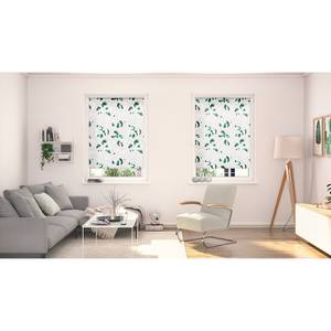 Klemmfix Verdunklungsrollo Monstera Polyester - Grün - 90 x 150 cm