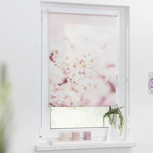 Klemmfix Verdunklungsrollo Kirschblüten Polyester - Rosa / Weiß - 100 x 150 cm