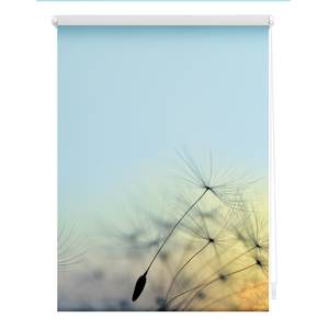 Klemmfix Verdunklungsrollo Pusteblume Polyester - Blau - 100 x 150 cm