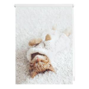 Store enrouleur sans perçage Sleepy Cat Polyester - Blanc - 45 x 150 cm