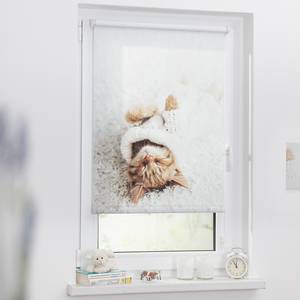 Store enrouleur sans perçage Sleepy Cat Polyester - Blanc - 45 x 150 cm