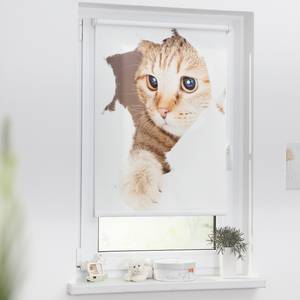 Store enrouleur sans perçage Chat Polyester - Blanc / Marron - 70 x 150 cm