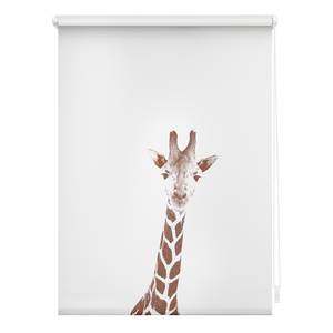 Klemfix rolgordijn Giraf polyester - bruin - 100 x 150 cm