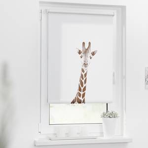 Klemmfix Rollo Giraffe Polyester - Braun - 80 x 150 cm