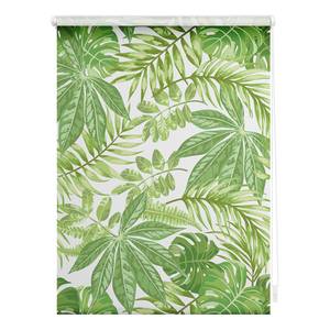 Store enrouleur sans perçage Feuilles Polyester - Vert - 60 x 150 cm