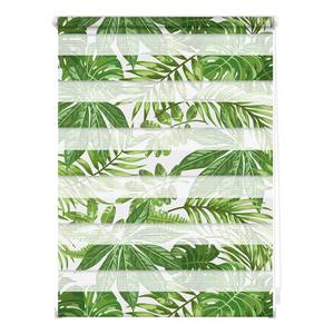 Store enrouleur double Feuilles Polyester - Vert - 60 x 150 cm