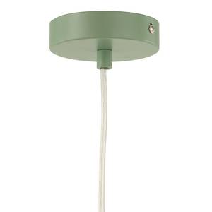 Suspension Anda Fer - 1 ampoule - Vert