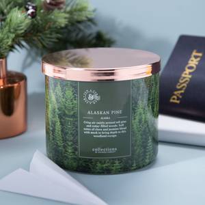 Bougie parfumée Alaskan Pine Mélange de cire de soja - Vert - 411 g