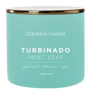 Bougie parfumée Popofcolor Turbindo Leaf Mélange de cire de soja - Turquoise - 411 g