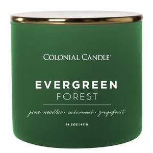 Bougie parfumée Evergreen Forest Mélange de cire de soja - Vert - 411 g