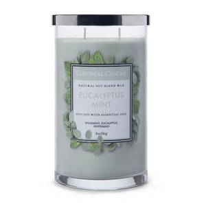 Duftkerze Eucalyptus Mint Soja Wachs Mischung - Grau - 538g