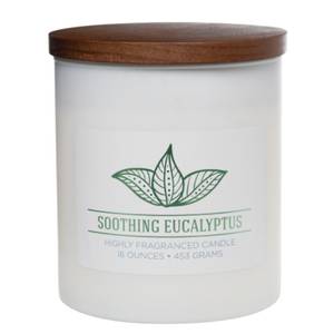 Bougie parfumée Soothing Eucalyptus Mélange de cire de soja - Blanc - 453 g