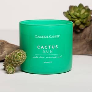 Geurkaars Cactus Rain sojawas mix - groen - 411 g