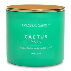 Geurkaars Cactus Rain sojawas mix - groen - 411 g