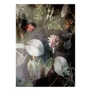 Vlies-fotobehang Night Flowers vlies - meerdere kleuren