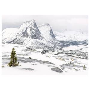 Fotobehang White Enchanted Mountain vlies - wit