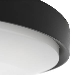 LED-wandlamp Buitenlampen III acrylglas/aluminium - 1 lichtbron