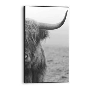 Gerahmtes Bild Highlander Bulle Holzwerkstoff - Schwarz - 70 x 118 x 3,7 cm