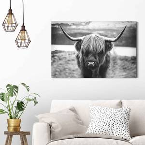 Afbeelding Schotse Hooglander Stier verwerkt hout - zwart - 90 x 60 x 2 cm