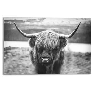 Afbeelding Schotse Hooglander Stier verwerkt hout - zwart - 90 x 60 x 2 cm