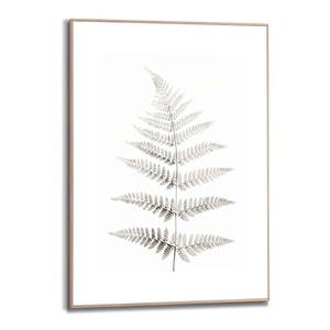 Gerahmtes Bild Farn Natur Holzwerkstoff - Schwarz - 50 x 70 x 1,6 cm