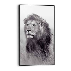 Bild Löwe auf der Savanne König Holzwerkstoff - Schwarz - 70 x 118 x 3,7 cm