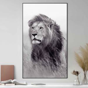Bild Löwe auf der Savanne König Holzwerkstoff - Schwarz - 70 x 118 x 3,7 cm