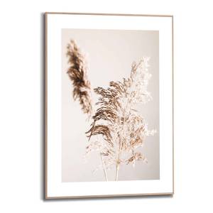 Ingelijste afbeelding Pampasgras Natuur verwerkt hout - beige - 50 x 70 x 1,6 cm