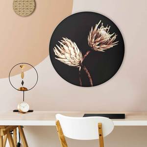 Wandbild Trockenblumen Exotisch Holzwerkstoff - Schwarz - 50 x 50 x 2 cm