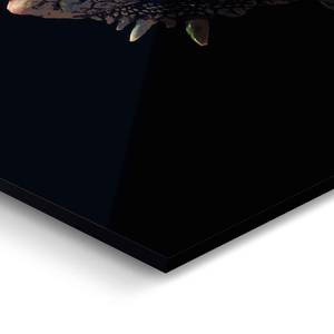Glazen afbeelding Leguaan Meermann glas - zwart - 70 x 50 x 2 cm
