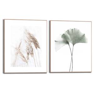 Set di quadri Botanica I Materiale a base lignea - Beige - 40 x 50 x 1,6 cm