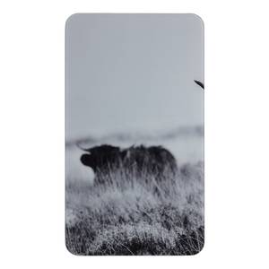 Abdeckplatte Highland Cattle (2er-Set) Glas - Grau