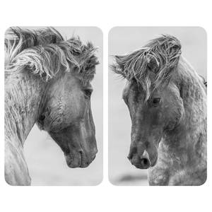 Abdeckplatte Horses (2er-Set) Glas - Grau