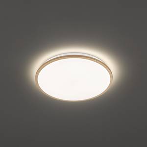 LED-plafondlamp Avord II acryl/ijzer - 1 lichtbron