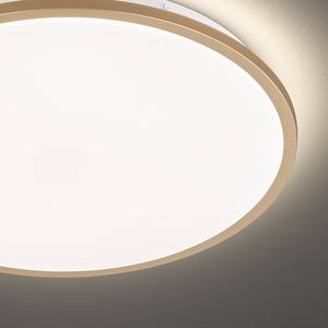 LED-plafondlamp Avord II acryl/ijzer - 1 lichtbron