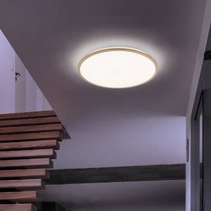 LED-plafondlamp Avord V acryl/ijzer - 1 lichtbron