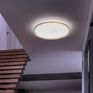 LED-plafondlamp Bellevue acryl/ijzer - 1 lichtbron - Goud