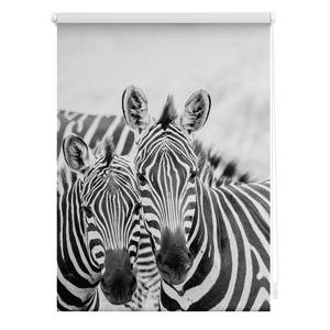 Klemfix-rolgordijn Zebra polyester - zwart/wit - 60 x 150 cm